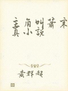 主角叫萧寒的修真小说