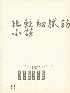 比较细腻的h文小说封面