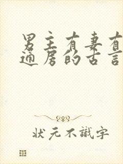 男主有妻有妾有通房的古言