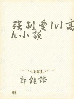 强制爱1v1高h小说