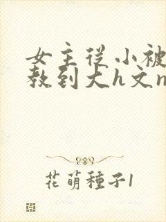 女主从小被肉调教到大h文np