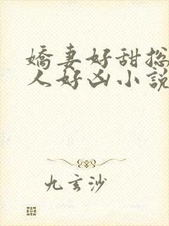 娇妻好甜总裁大人好凶小说全文阅读