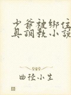 少爷被绑住用刑具调教小说