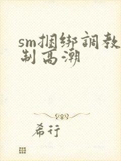 sm捆绑调教强制高潮