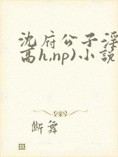 沈府公子淫史(高h,np)小说