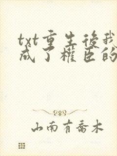 txt重生后我成了权臣的掌中娇