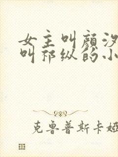 女主叫颜汐男主叫祁纵的小说名字