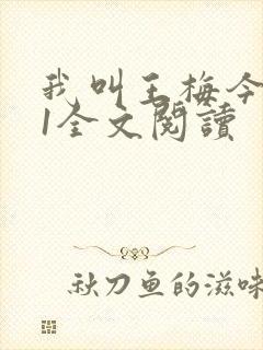 我叫王梅今年41全文阅读