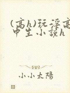 (高h)玩淫高中生小说h