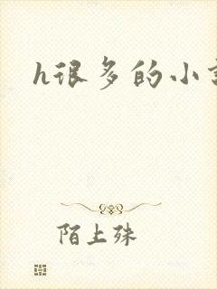 h很多的小说封面