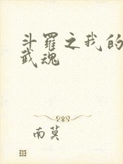 斗罗之我的异火武魂