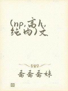(np,高h,纯肉)文封面
