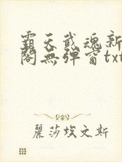 霸天武魂新笔趣阁无弹窗txt封面
