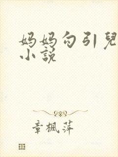 妈妈勾引儿子的小说封面