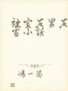 被室友男友破了处小说封面