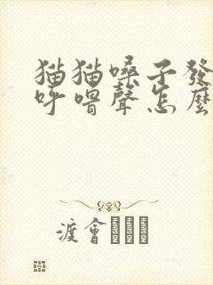 猫猫嗓子发呼噜呼噜声怎么回事