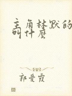 主角林默的小说叫什么