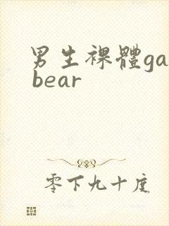 男生裸体gay bear