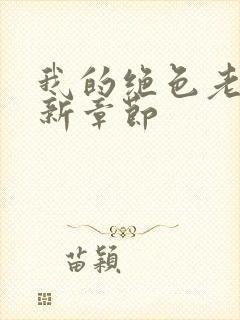 我的绝色老板娘新章节