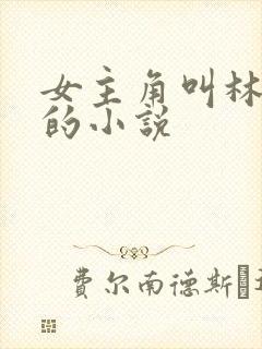 女主角叫林慕雪的小说