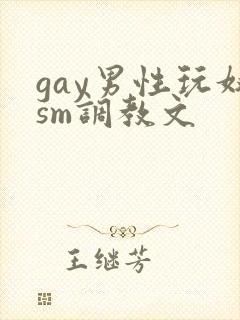 gay男性玩奴sm调教文