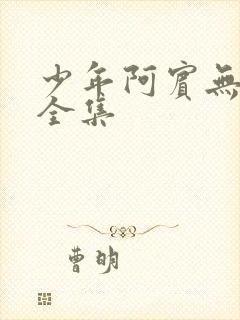 少年阿宾无删减全集