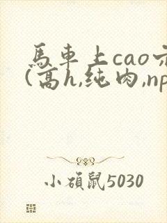 马车上cao穴(高h,纯肉,np)