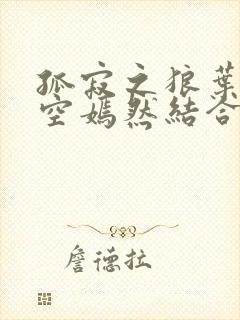 孤寂之狼叶凡司空嫣然结合封面