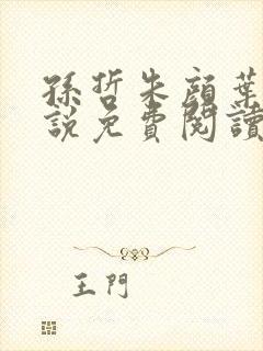 孙哲朱颜叶巧小说免费阅读封面