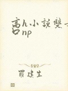 高h小说双女重口np