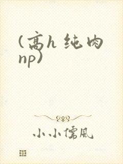 (高h 纯肉 np)