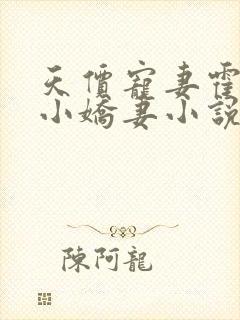 天价宠妻霍总的小娇妻小说免费阅读封面