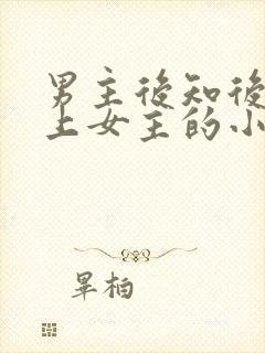 男主后知后觉爱上女主的小说