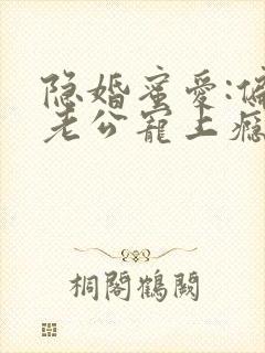 隐婚蜜爱:偏执老公宠上瘾小说版