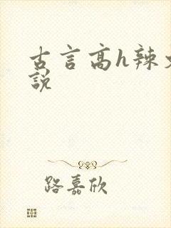 古言高h辣文小说