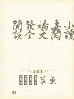 开发娇妻小楠小说全文阅读最新章节封面