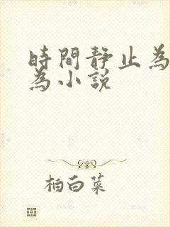 时间静止为所欲为小说