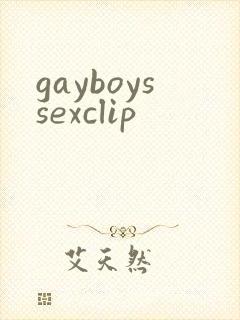 gayboyssexclip