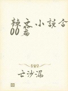 辣文小说合集500篇