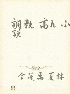 调教 高h 小说