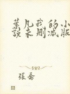 叶凡我的小姨小说未删减版