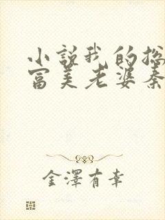 小说我的总裁白富美老婆秦宇全集下载封面