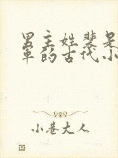 男主姓裴是个将军的古代小说