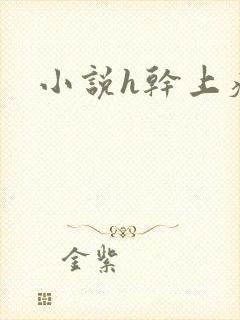 小说h干上瘾封面