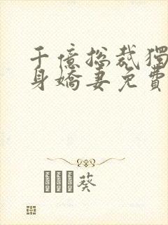 千亿总裁独宠替身娇妻免费完整版封面