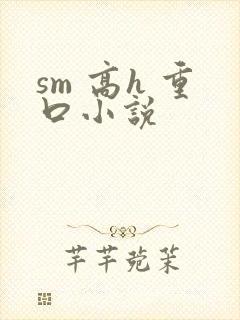 sm 高h 重口小说