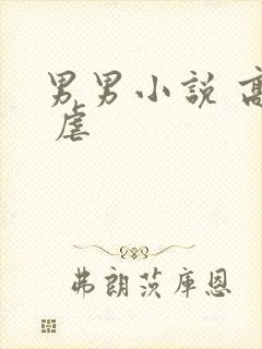 男男小说 高h 虐封面