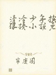 清冷少年挨爸爸狠揍小说免费阅读全封面