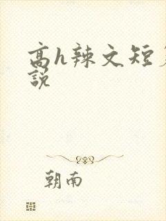 高h辣文短篇小说