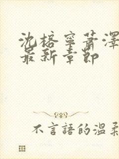 沈榕宁萧泽小说最新章节封面